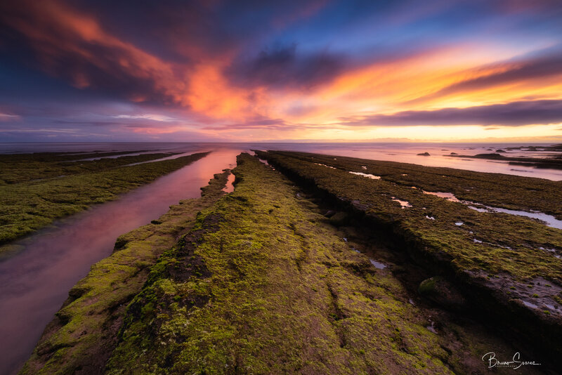 Moss-covered Rocks at Sunset — Purple, Dramatic, Photograph