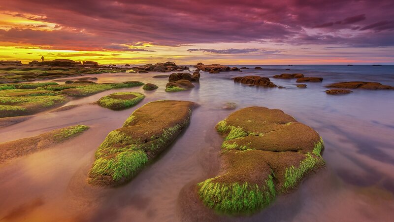 Moss-covered Rocks at Sunset — Purple, Dramatic