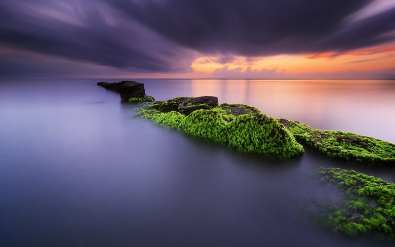 Moss-covered Rocks at Sunset — Purple