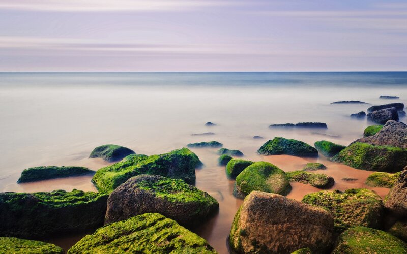 Moss-covered rocks at the shore