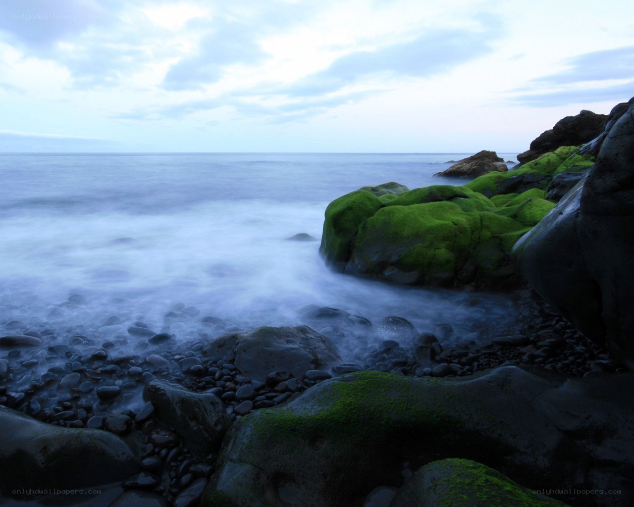 Moss-covered rocks at the shore