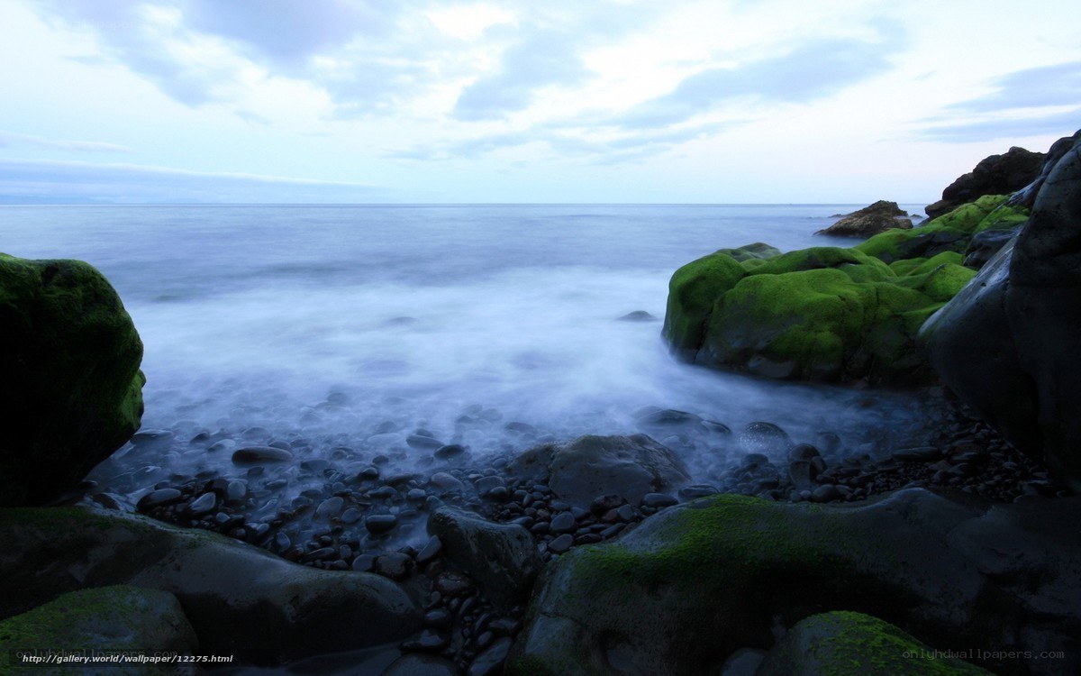 Moss-covered rocks at the shore