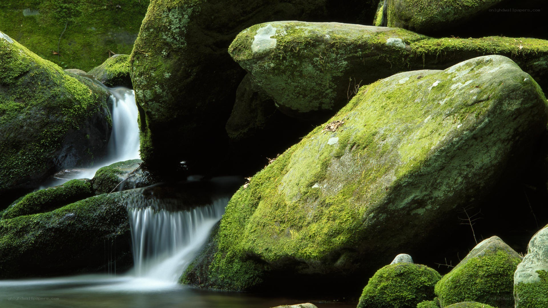 Moss-covered rocks by a stream