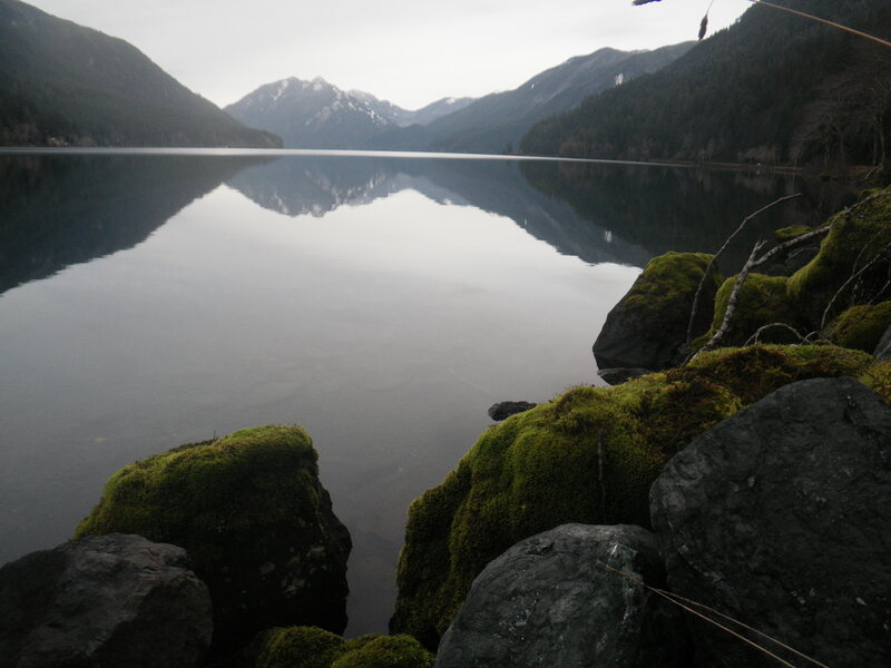 Moss-covered Rocks by Lake — Green