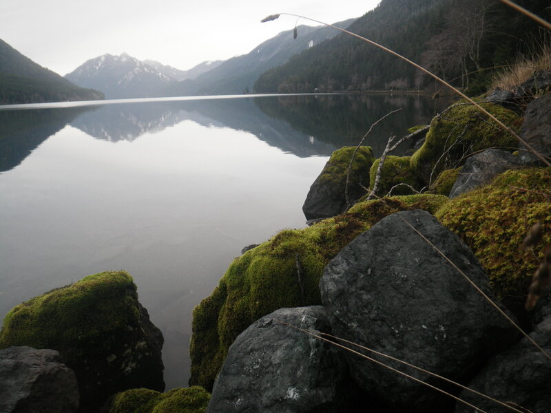 Moss-covered Rocks by Lake