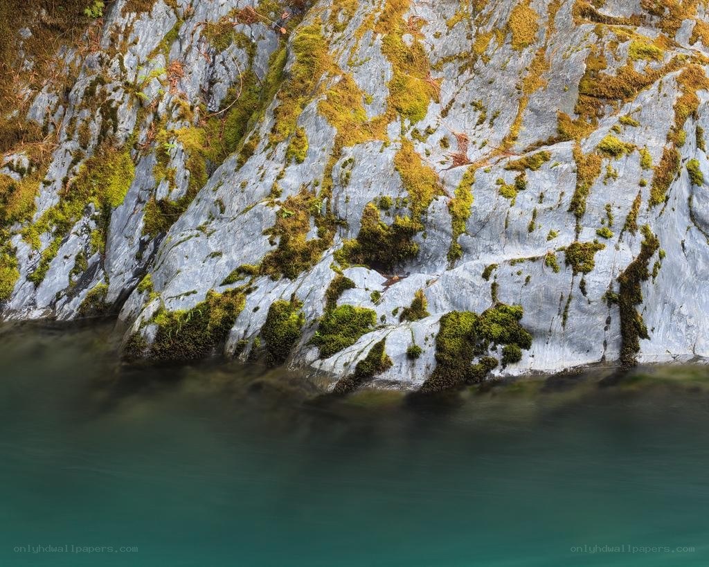 moss-covered rocks by water