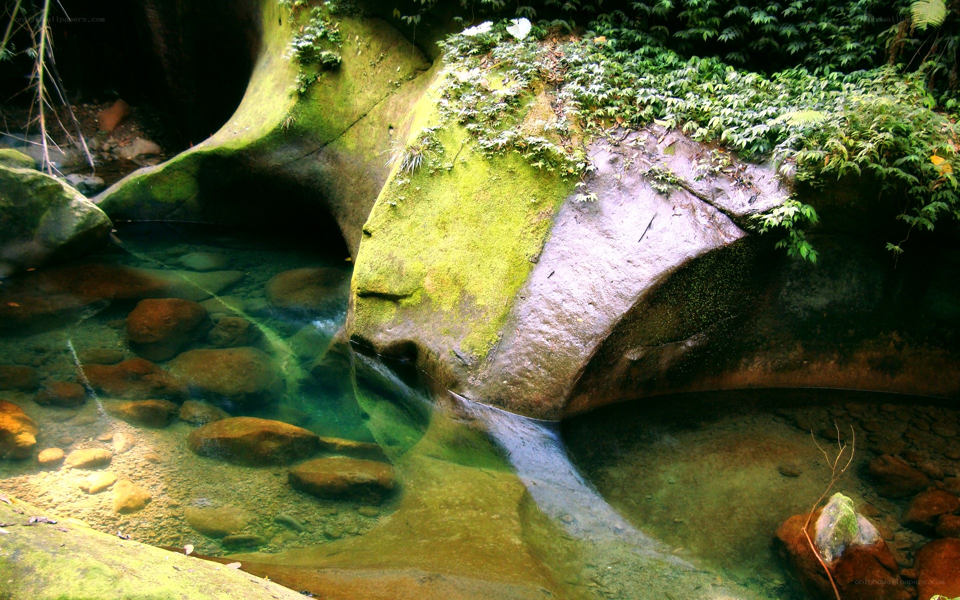 Moss-covered rocks in a clear stream