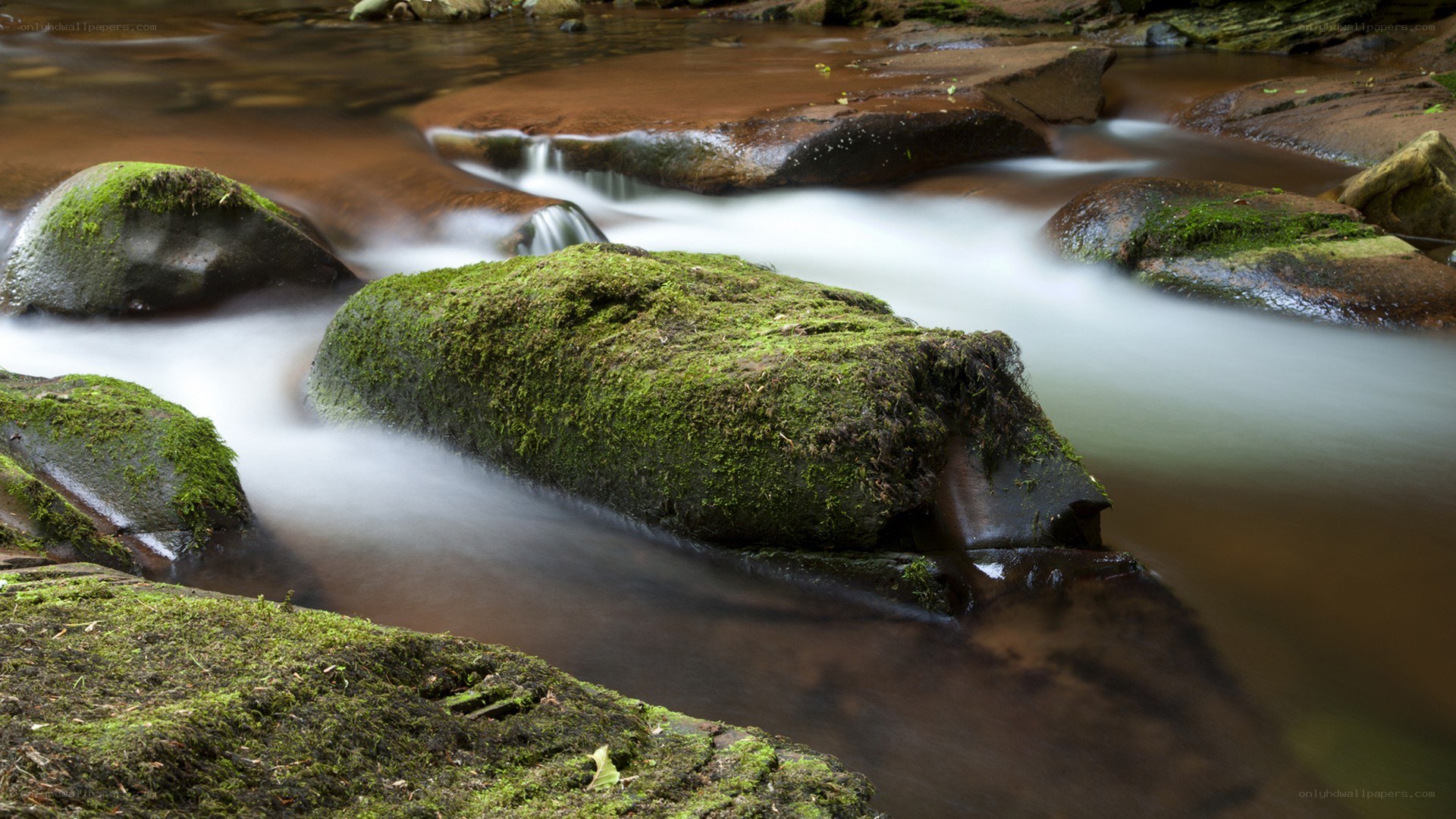 Moss-covered rocks in a flowing stream