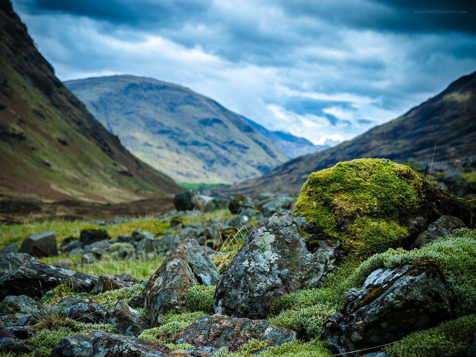 Moss-covered rocks in a mountain valley