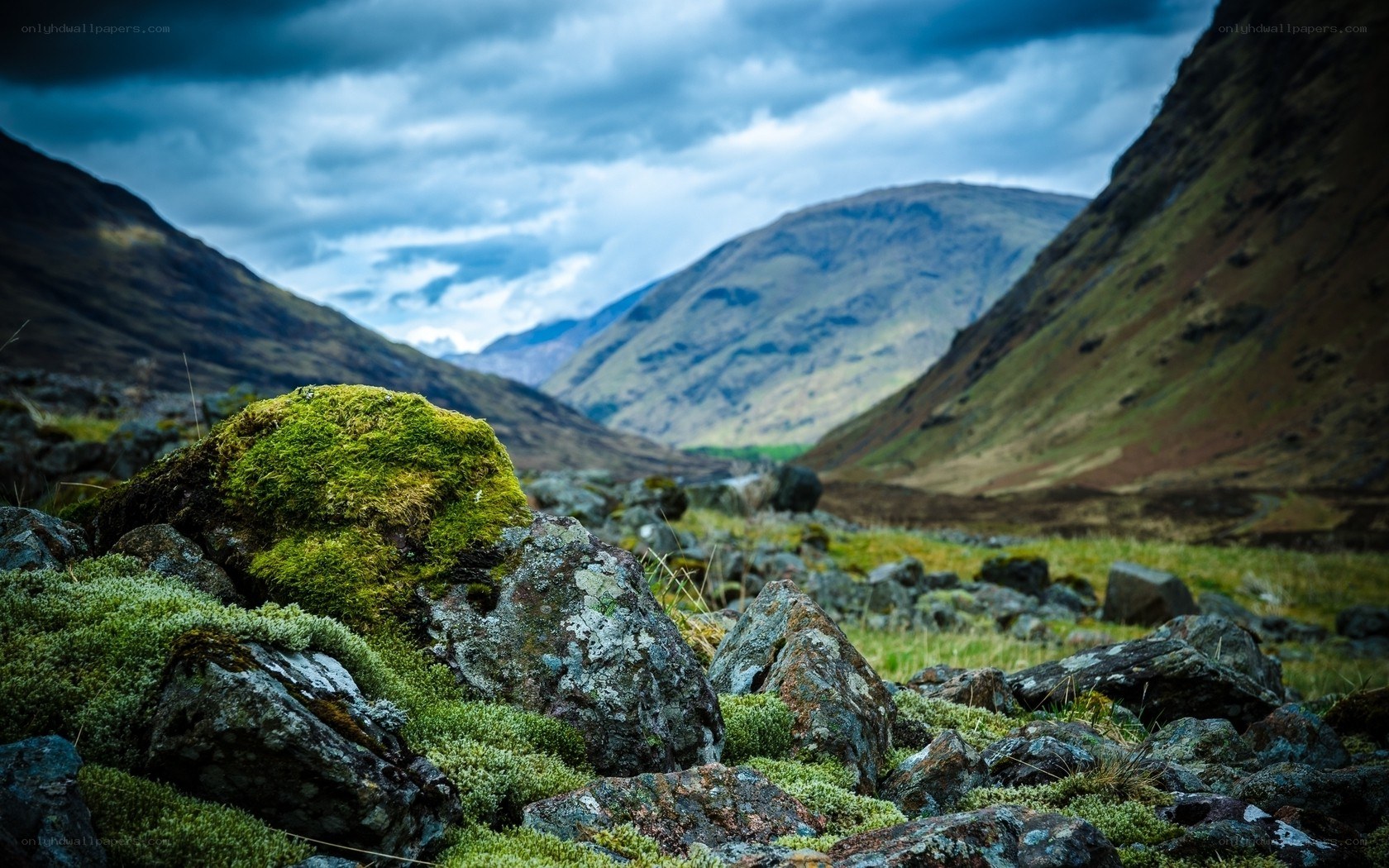 Moss-covered rocks in a mountain valley