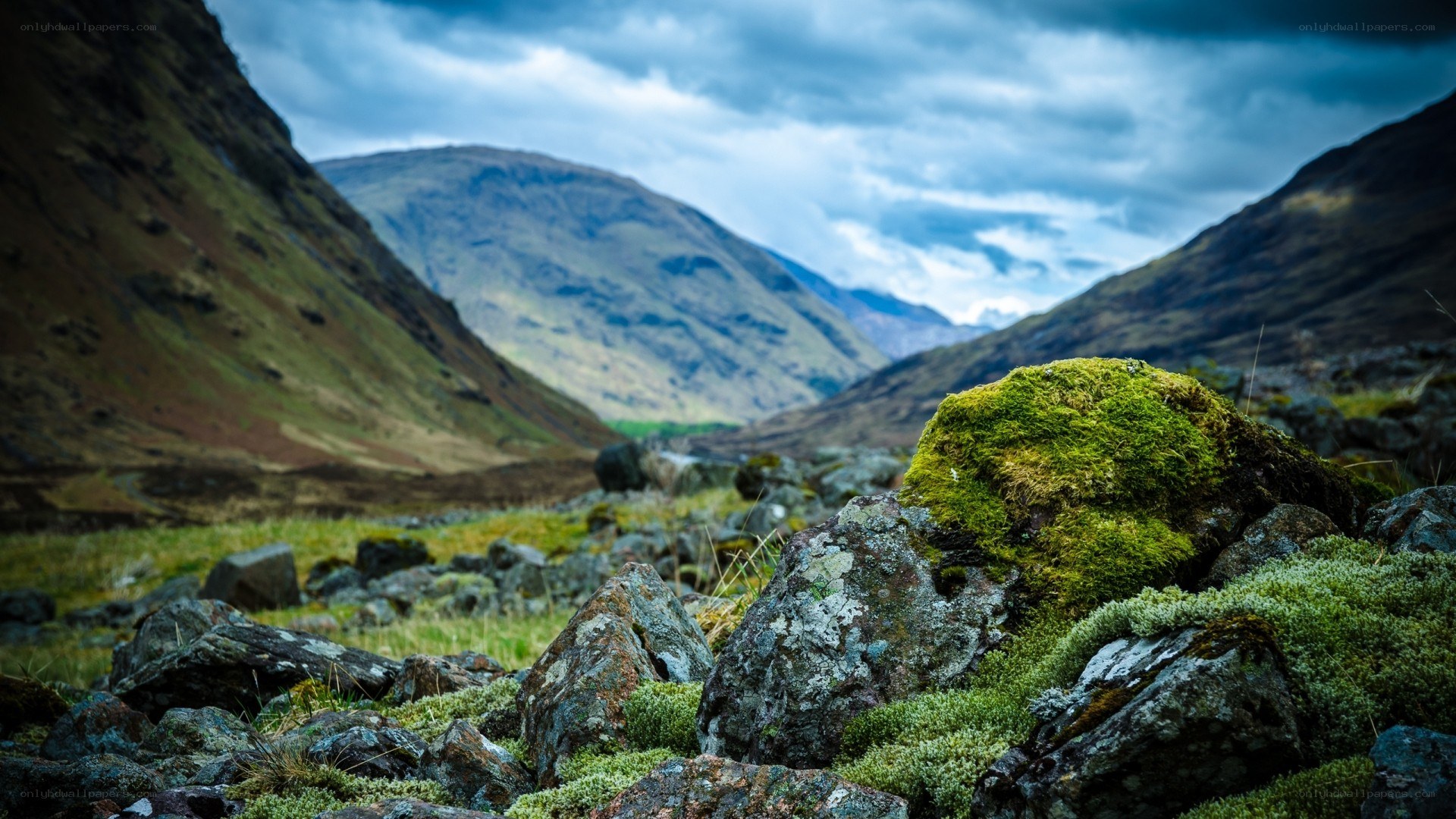 Moss-covered rocks in a mountain valley