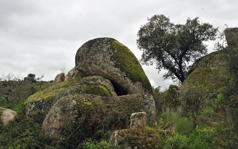 Moss-covered rocks in a natural landscape