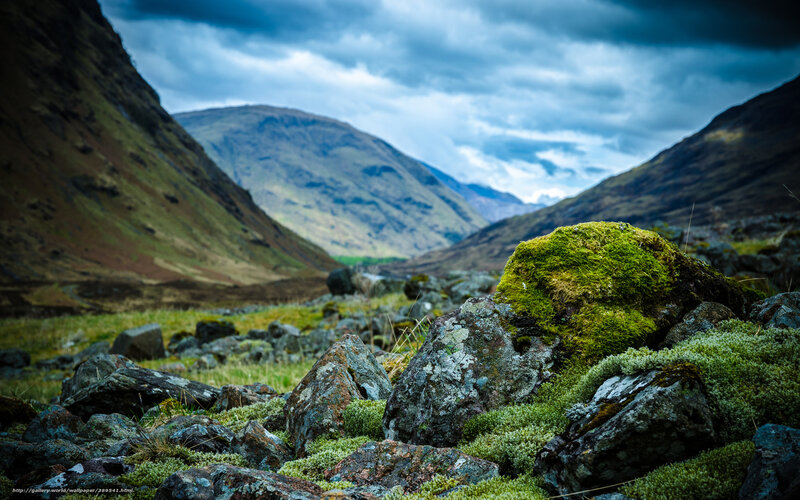 Moss-covered rocks in a valley