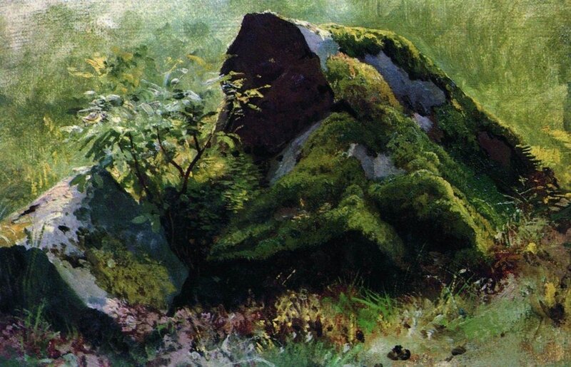 Moss-covered rocks in forest