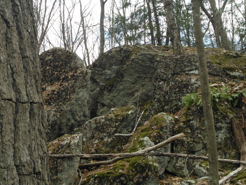 Moss-covered Rocks in Forest — Green, Natural, Autumn, Photograph, Trees
