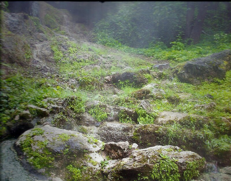 Moss-covered Rocks in Forest — Green, Natural, Photograph