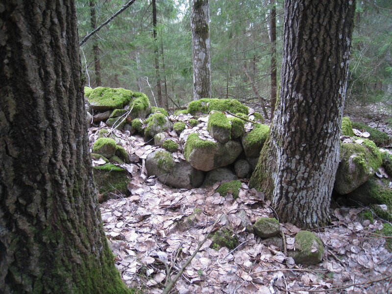 Moss-covered Rocks in Forest — Green, Serene, Autumn, Photograph, Trees, Moss