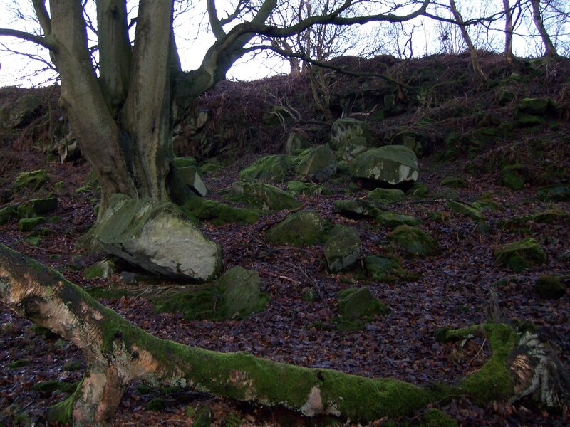 Moss-covered Rocks in Forest — Green, Somber