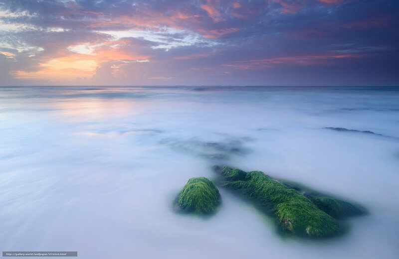 Moss-covered Rocks in Ocean