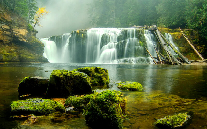 Moss-covered Rocks in River