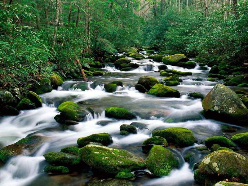 Moss-covered Rocks in Stream — Afternoon