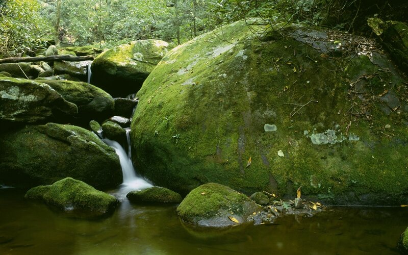Moss-covered Rocks in Stream — Brown