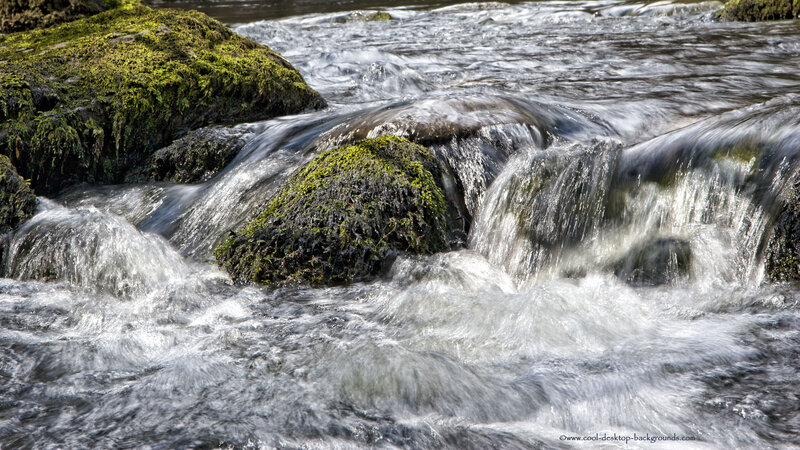 Moss-covered Rocks in Stream — Green, Calm, Afternoon