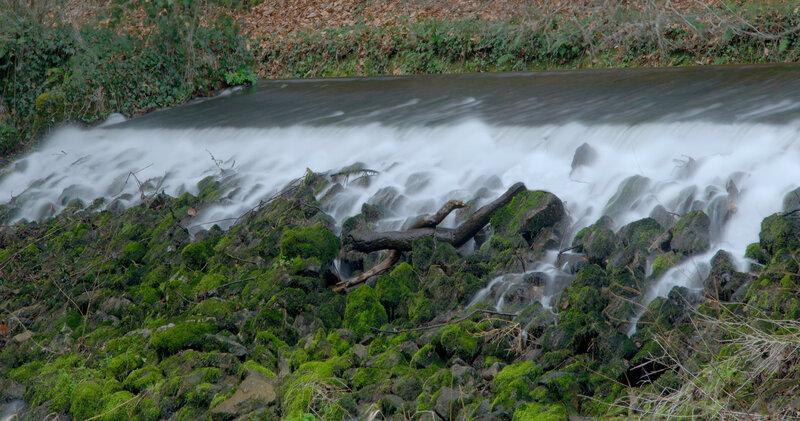 Moss-covered Rocks in Stream — Green, Calm
