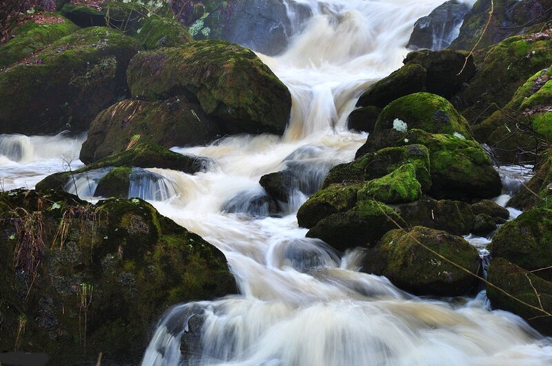 Moss-covered Rocks in Stream — Green, Dynamic