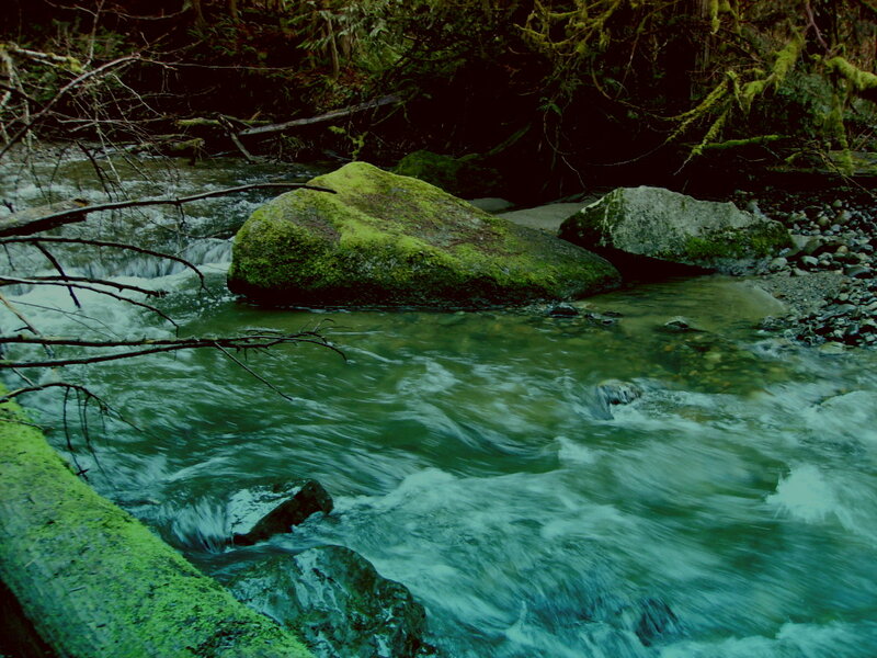 Moss-covered Rocks in Stream — Green, Natural