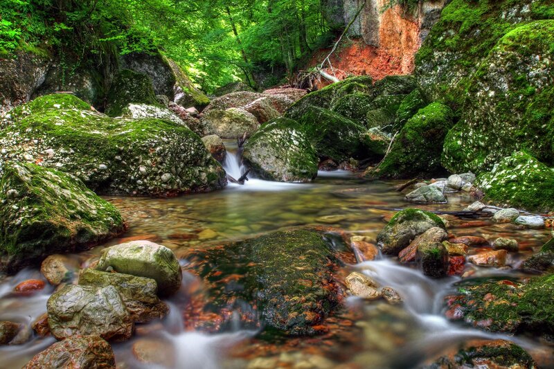Moss-covered Rocks in Stream — Green, Serene, Afternoon, Photograph, Trees, Moss