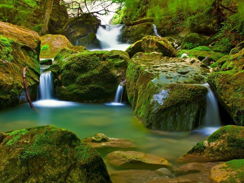 Moss-covered Rocks in Stream — Green, Serene, Afternoon