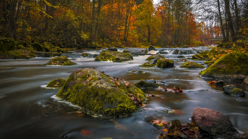 Moss-covered Rocks in Stream — Green, Serene, Autumn, Photograph, Autumn Trees