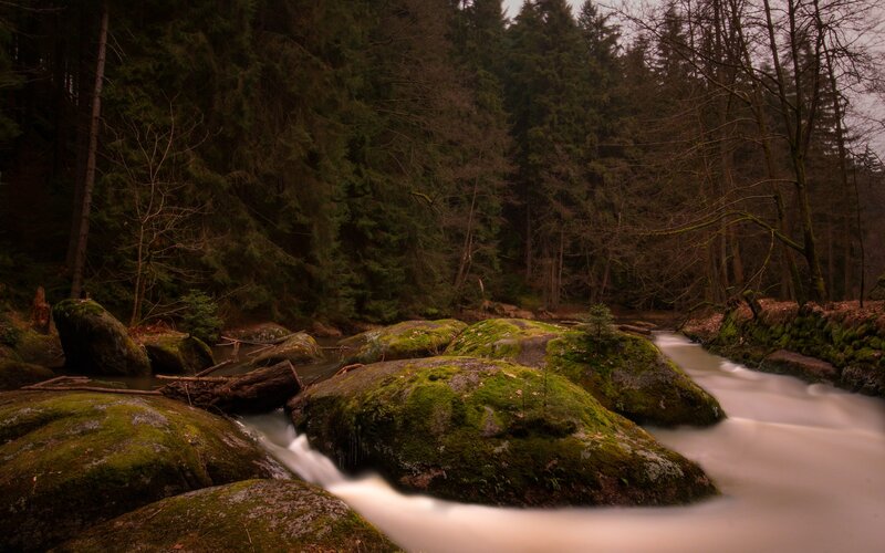 Moss-covered Rocks in Stream — Green, Serene, Autumn, Photograph, Forest, Trees