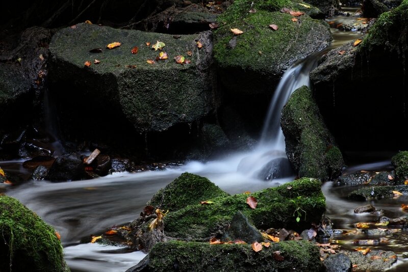 Moss-covered Rocks in Stream — Green, Serene, Autumn