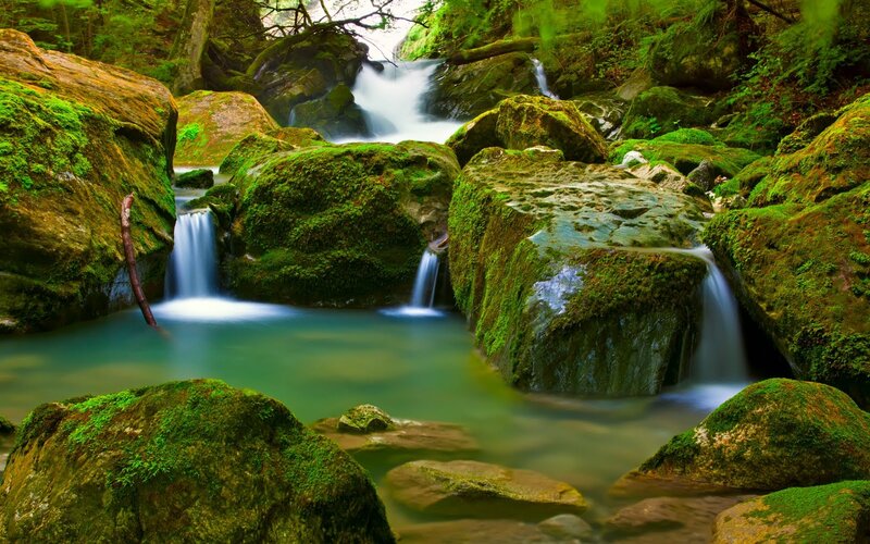 Moss-covered Rocks in Stream — Green, Serene, Morning, Photograph, Forest
