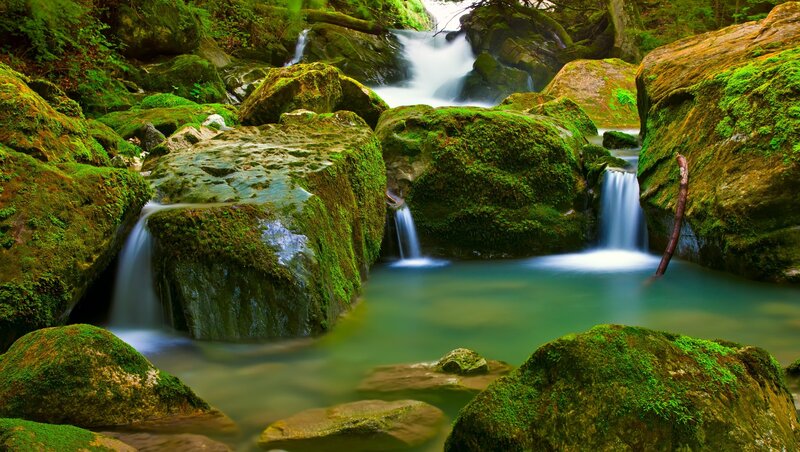 Moss-covered Rocks in Stream — Green, Serene, Morning, Photograph, Moss, Trees