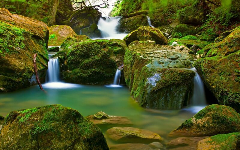 Moss-covered Rocks in Stream — Green, Serene, Morning, Photograph, Trees, Moss, Brown, Blue