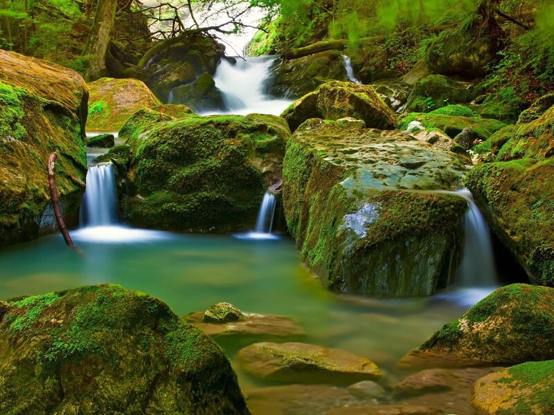 Moss-covered Rocks in Stream — Green, Serene, Morning, Photograph, Trees, Moss, Brown