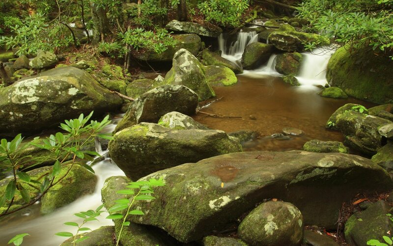 Moss-covered Rocks in Stream — Green, Serene, Morning, Photograph, Trees, Moss, Brown, White