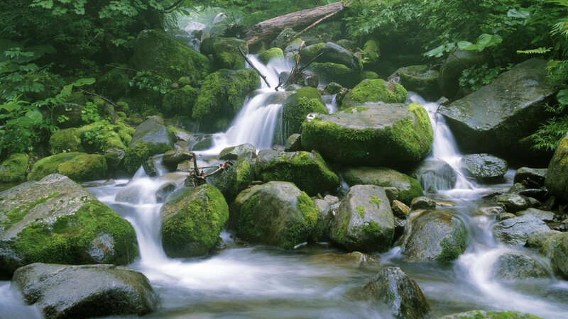 Moss-covered Rocks in Stream — Green, Serene, Morning