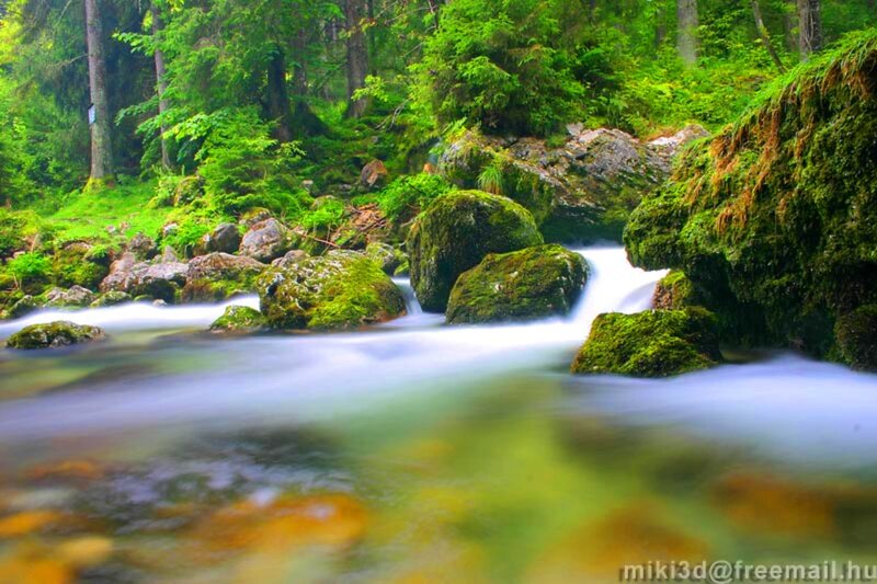 Moss-covered Rocks in Stream — Green, Serene, Photograph, Forest, Trees