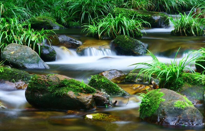 Moss-covered Rocks in Stream — Green, Serene, Photograph, Grass