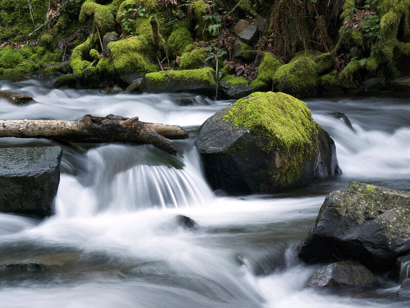 Moss-covered Rocks in Stream — Green, Serene, Photograph, Moss, Log