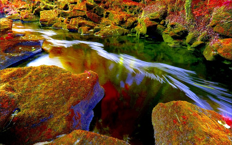 Moss-covered Rocks in Stream — Green, Serene, Photograph, Moss, Reflection