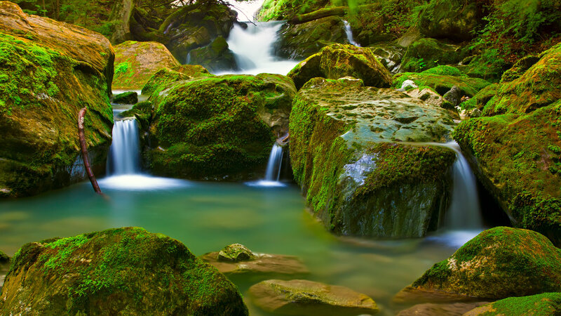 Moss-covered Rocks in Stream — Green, Serene, Photograph, Moss, Trees