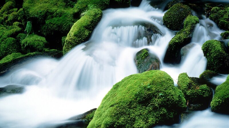 Moss-covered Rocks in Stream — Green, Serene, Photograph, Moss, Waterfall, White