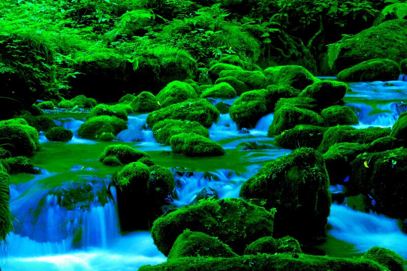 Moss-covered Rocks in Stream — Green, Serene, Photograph, Plants