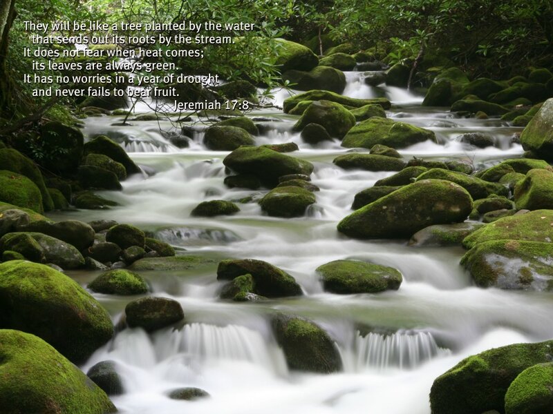 Moss-covered Rocks in Stream — Green, Serene, Photograph, River