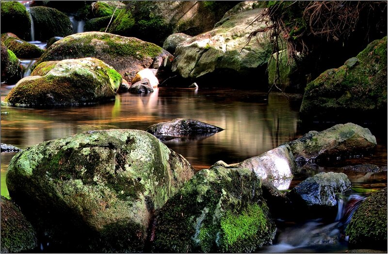 Moss-covered Rocks in Stream — Green, Serene, Photograph